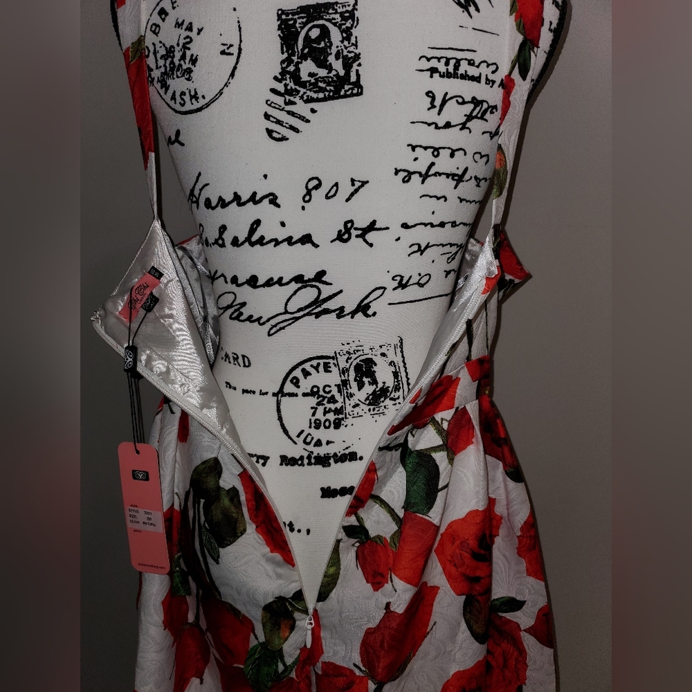ModCloth Unique Vintage Chi Chi London High Tea Red Rose Formal Dress Size 20 - Picture 13 of 16